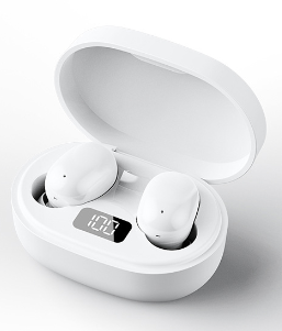 B.duck Sport Wireless Earbuds